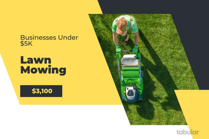 Business under 5k - gardening.